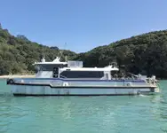 Catamaran विक्रीसाठी