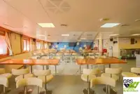 डायव्ह सपोर्ट विक्रीसाठी