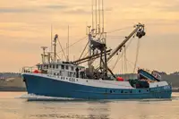 Purse seiner विक्रीसाठी