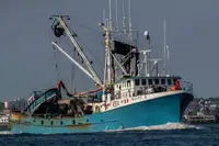 Purse seiner विक्रीसाठी