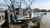 Trawler विक्रीसाठी