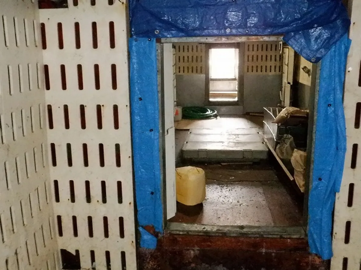 लाँगलाइनर विक्रीसाठी