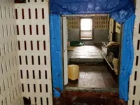 लाँगलाइनर विक्रीसाठी