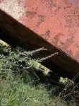 बार्ज विक्रीसाठी