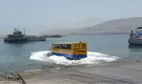 उभयचर विक्रीसाठी
