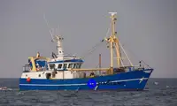 Beam trawler विक्रीसाठी