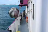 General Cargo/Multi-purpose विक्रीसाठी