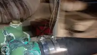डायव्ह सपोर्ट विक्रीसाठी