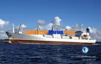 रेफ्रिजर जहाज विक्रीसाठी