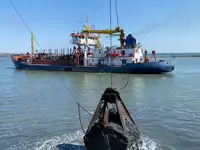 ड्रेजर विक्रीसाठी
