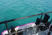 General Cargo/Multi-purpose विक्रीसाठी