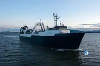 Trawler विक्रीसाठी