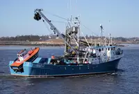 Purse seiner विक्रीसाठी
