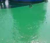 बल्क वाहक विक्रीसाठी