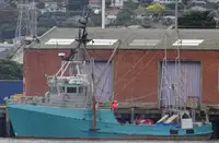 Trawler विक्रीसाठी