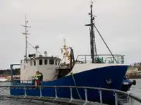 Trawler विक्रीसाठी