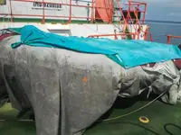 टोबोट विक्रीसाठी