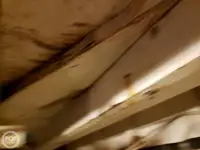 फेरी जहाज विक्रीसाठी