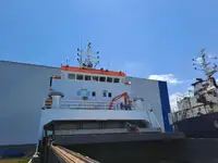 मोठ्या प्रमाणात वाहक विक्रीसाठी