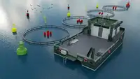 Catamaran विक्रीसाठी