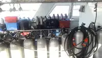 Catamaran विक्रीसाठी
