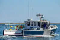 Purse seiner विक्रीसाठी