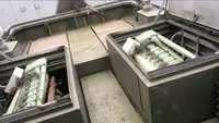टोबोट विक्रीसाठी