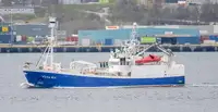 Purse seiner विक्रीसाठी