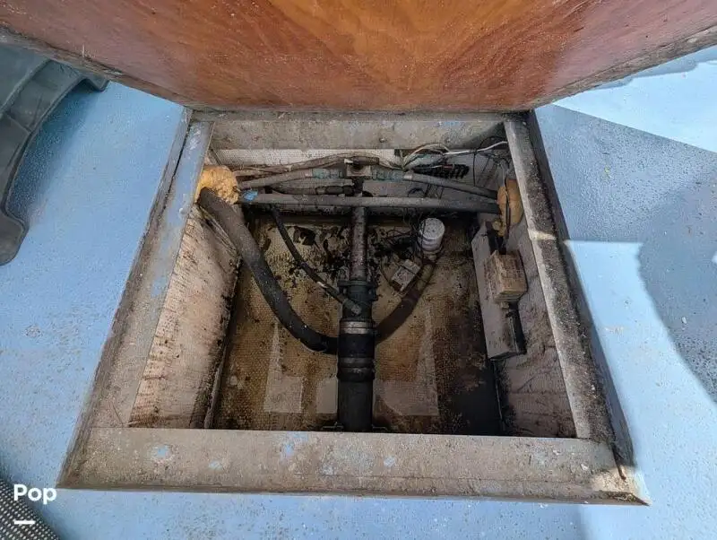 क्रूझ फेरी विक्रीसाठी