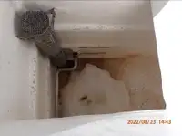 पర్స్ सीनर विक्रीसाठी