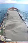 कंटेनर जहाज विक्रीसाठी
