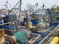 लाइव्ह मासे वाहून नेणारे जहाज विक्रीसाठी
