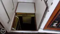 डायव्ह सपोर्ट विक्रीसाठी