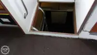 डायव्ह सपोर्ट विक्रीसाठी