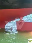 बल्क वाहक विक्रीसाठी