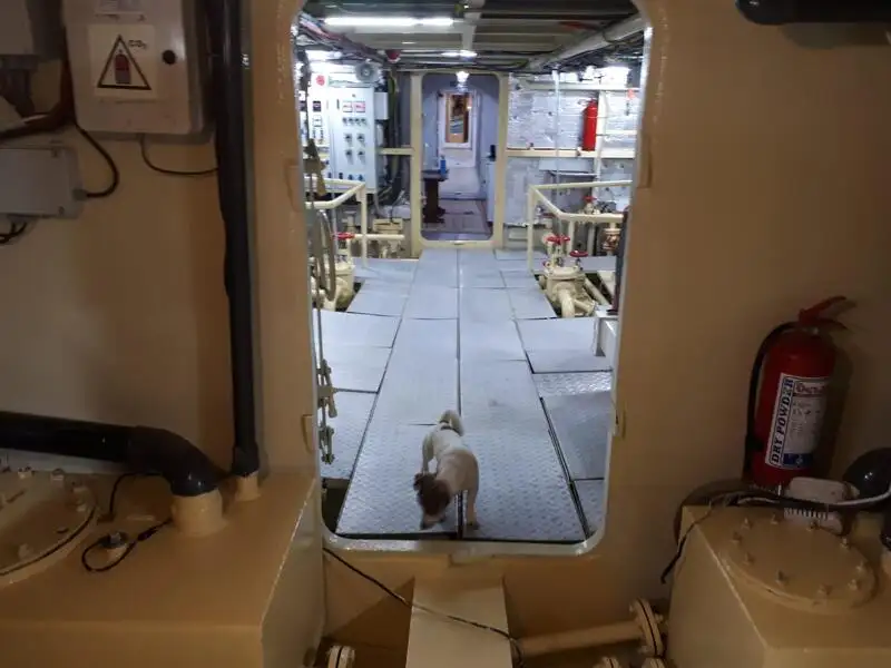 General Cargo/Multi-purpose विक्रीसाठी
