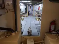 General Cargo/Multi-purpose विक्रीसाठी