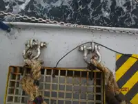 रेफ्रिजर जहाज विक्रीसाठी