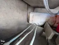 क्रूझ फेरी विक्रीसाठी