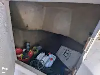 क्रूझ फेरी विक्रीसाठी