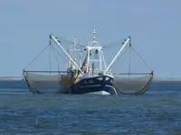 Trawler विक्रीसाठी