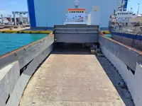 मोठ्या प्रमाणात वाहक विक्रीसाठी