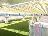 क्रूझ जहाज विक्रीसाठी