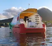 फेरी जहाज विक्रीसाठी