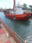 टोबोट विक्रीसाठी