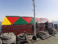 मोठ्या प्रमाणात वाहक विक्रीसाठी