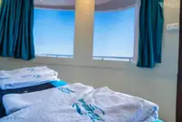 डायव्ह सपोर्ट विक्रीसाठी