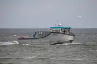 प्रवाशी जहाज विक्रीसाठी