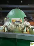 रो-रो जहाज विक्रीसाठी