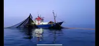 Trawler विक्रीसाठी